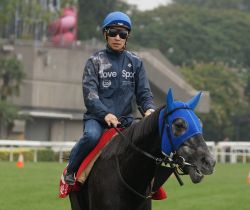 【香港国際競走】平松さとしの日本馬情報 | 競馬コラム | ウマニティ