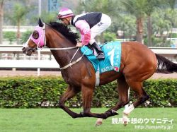 【安田記念】香港馬分析 | 競馬コラム | ウマニティ