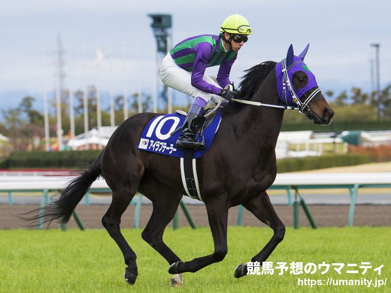 【京都牝馬ステークス2021予想】阪神牝馬SではNijinskyの血を引く馬がリピーターとして活躍