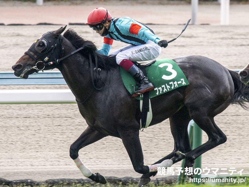 【京阪杯2021予想】サンデーサイレンスの血脈を持たない馬が幅を利かせる