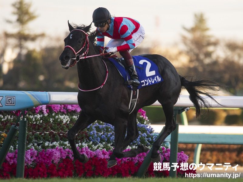 【神戸新聞杯2020予想】過度の外枠依存は危険！内枠または中より内めで運びそうな馬を優先！