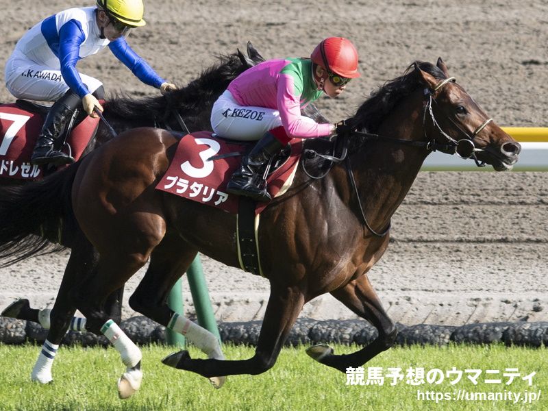 【神戸新聞杯2022特集】昨年はワンツー決着、ディープインパクトの血を引く馬が存在感を示すコース