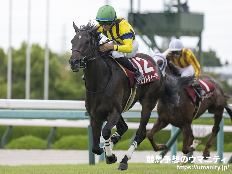 【東京新聞杯2024特集】今開催の古馬戦は差し優勢！末脚のしっかりした馬に注目！