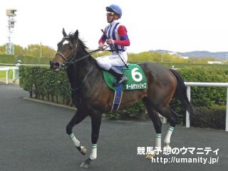 福島牝馬S2013