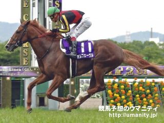 神戸新聞杯2011