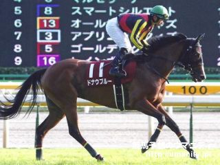 京都牝馬S2012