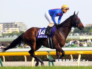 福島牝馬S2017