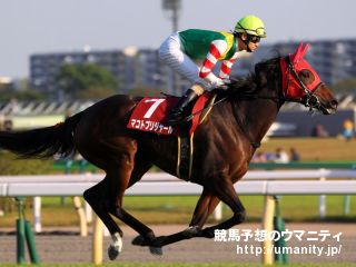 福島牝馬S2016