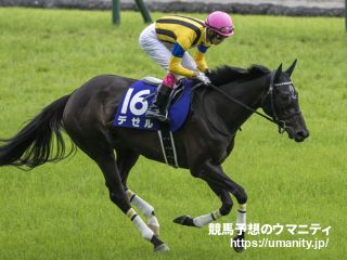 阪神牝馬S2021