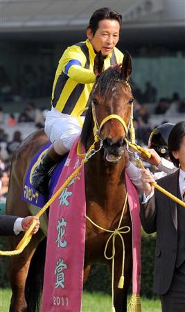 ２０１１年桜花賞馬のマルセリーナが引退