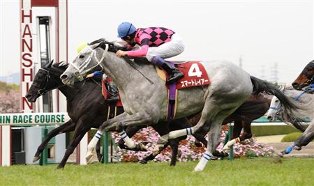 サンケイスポーツ杯阪神牝馬ステークス2014