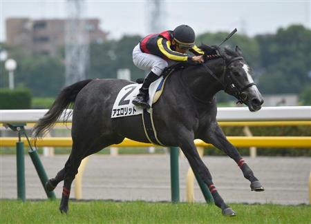 【２歳新馬】東京６Ｒ　アエロリットが“横綱相撲”で快勝