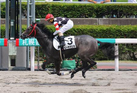【２歳新馬】札幌６Ｒ　ビーチマリカが５馬身差の完勝
