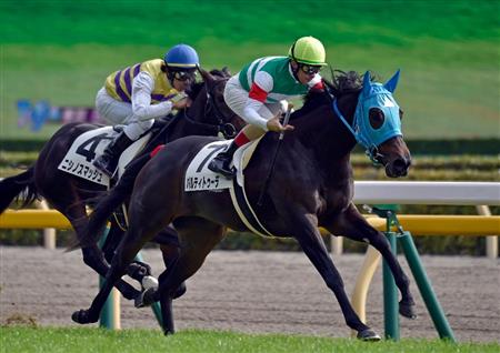 【２歳新馬】東京５Ｒ　パルティトゥーラが牡馬を一蹴