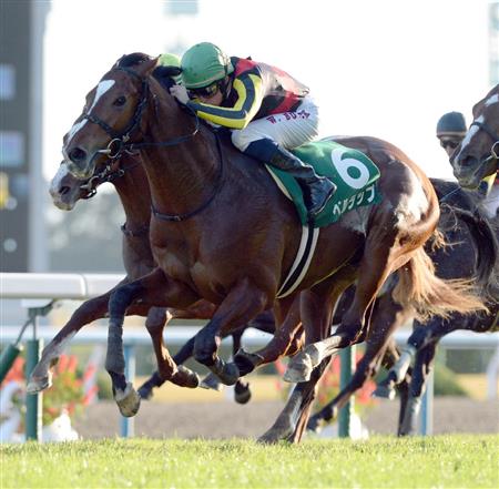 京都２歳Ｓを勝ったベルラップが引退、乗馬に
