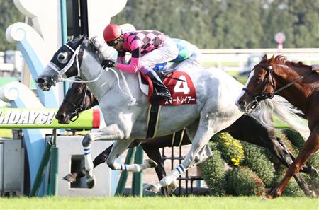 【京都大賞典】７歳牝馬スマートレイアーが重賞４勝目