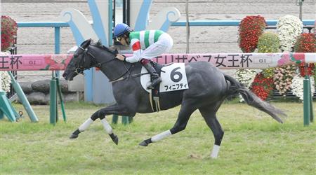 【２歳新馬】京都４Ｒ　ステファノスの妹フィニフティが快勝