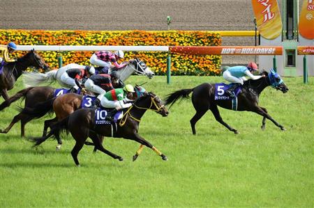 【東京新聞杯】アドマイヤリード、牝馬戦線“リード”する！