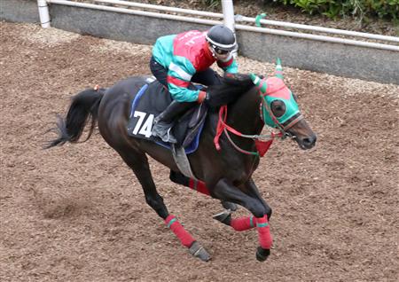 【京都新聞杯】アルムフォルツァ、馬なり１２秒５