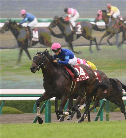 【セントウルＳ】高松宮記念Ｖ馬ファインニードルが貫禄の連覇