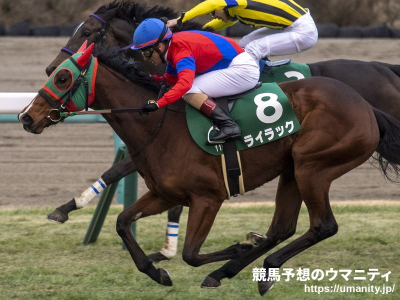 【阪神牝馬Ｓ2024】ROBOTIPの勝率予測　競走馬能力重視予測はライラックとマスクトディーヴァが大きく抜け出す