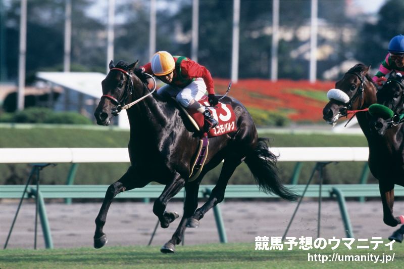 ２９日美浦でデコピンなど１１頭の２歳馬がゲート合格
