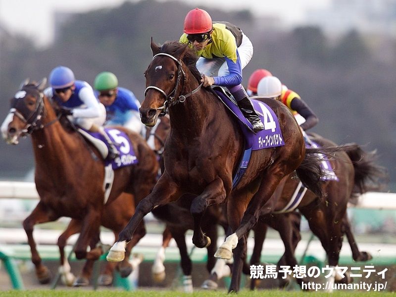 【血統アナリシス】東京新聞杯2020　魅力大のキングカメハメハ牝駒！最内のディープインパクト産駒に反撃の余地あり！