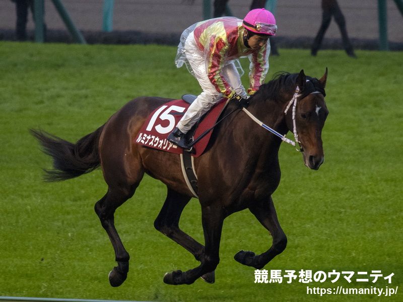 １５日美浦でコスモネモシンの娘など１５頭の２歳馬がゲート合格