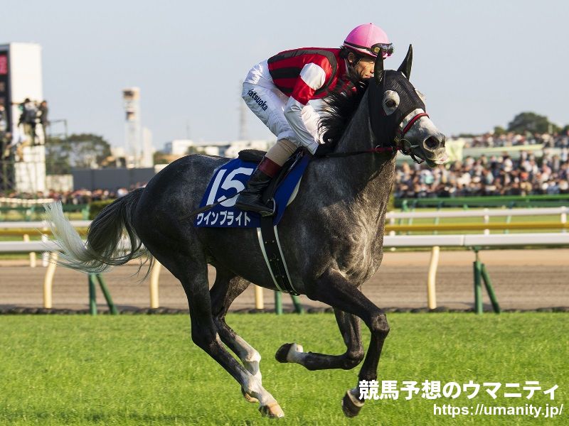 【香港国際競走】マーズ＆ブライト＆グローリー、日本馬が３勝