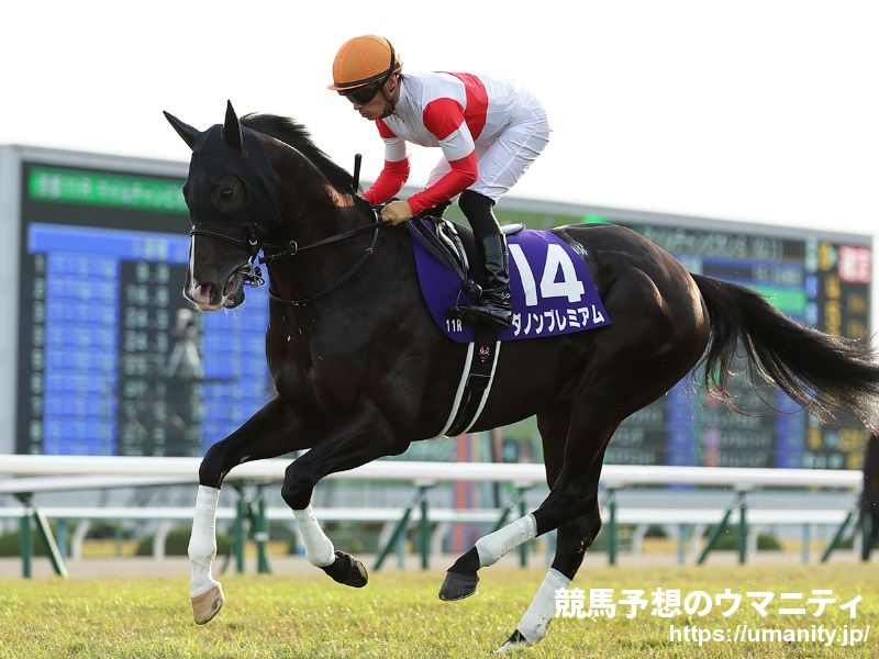 香港国際競走に出走する日本馬３頭が到着　