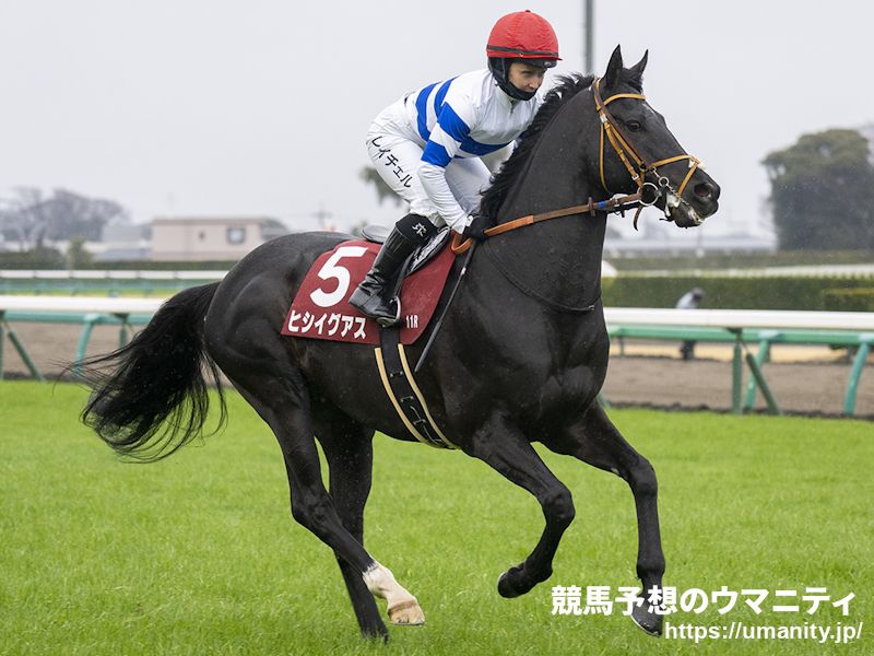 香港チャンピオンズデー諸競走に出走した日本馬８頭が帰国