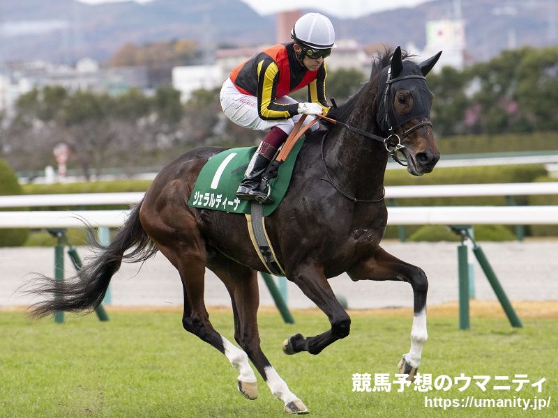 【鳴尾記念】サンスポ杯阪神牝馬Ｓは６着も…ジェラルディーナが２０００メートルで反撃必至