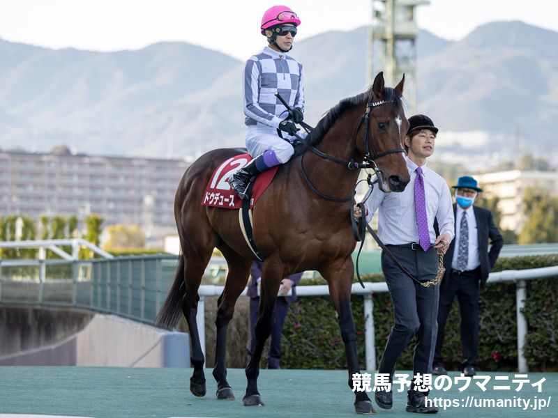 香港国際競走にリバティアイランド、ドウデュースなど日本馬６８頭が登録