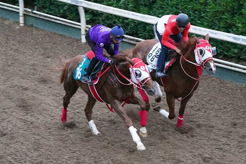 【今週の注目新馬】２億円馬ドゥマイシング　母は米ＧⅠなど通算１２勝の名牝　久保助手「新馬向き」