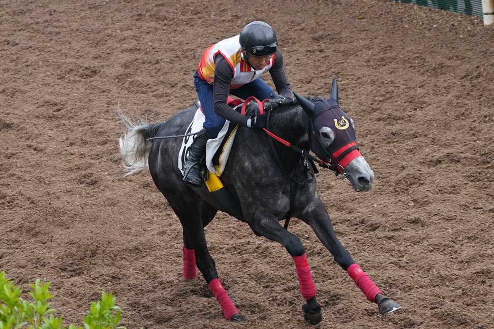 【福島牝馬Ｓ】コスタボニータ小気味いいフットワークでラスト１２秒２　杉山佳師「具合良く競馬にいけそう」