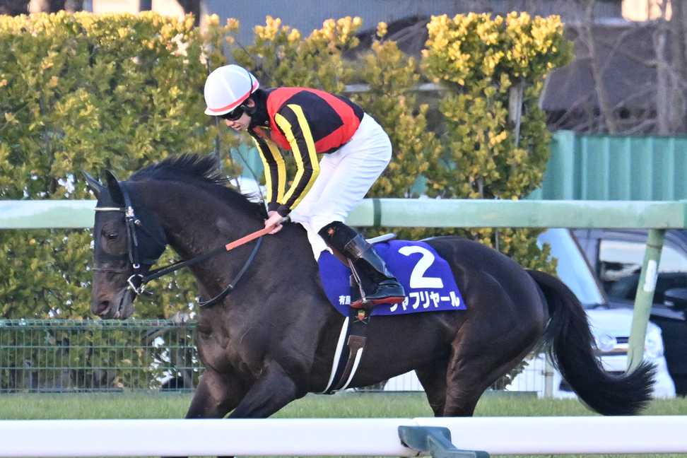 【有馬記念】一昨年の日本ダービー馬シャフリヤールは５着　松山弘平騎手「差のない競馬をしてくれました」