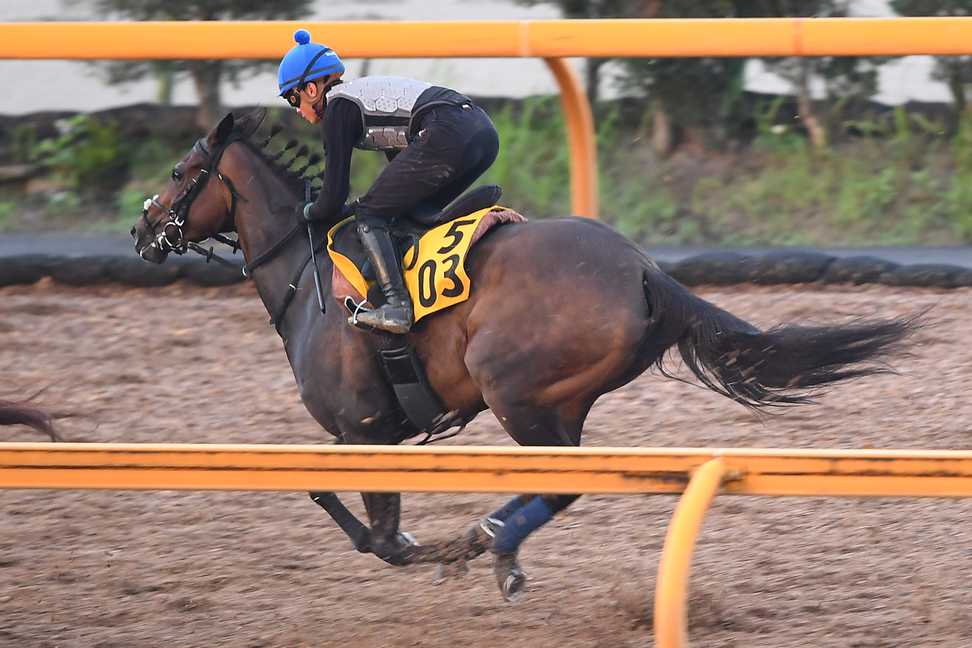 【小倉記念】ククナは栗東ＣＷで併せ馬、余力十分に１１秒７