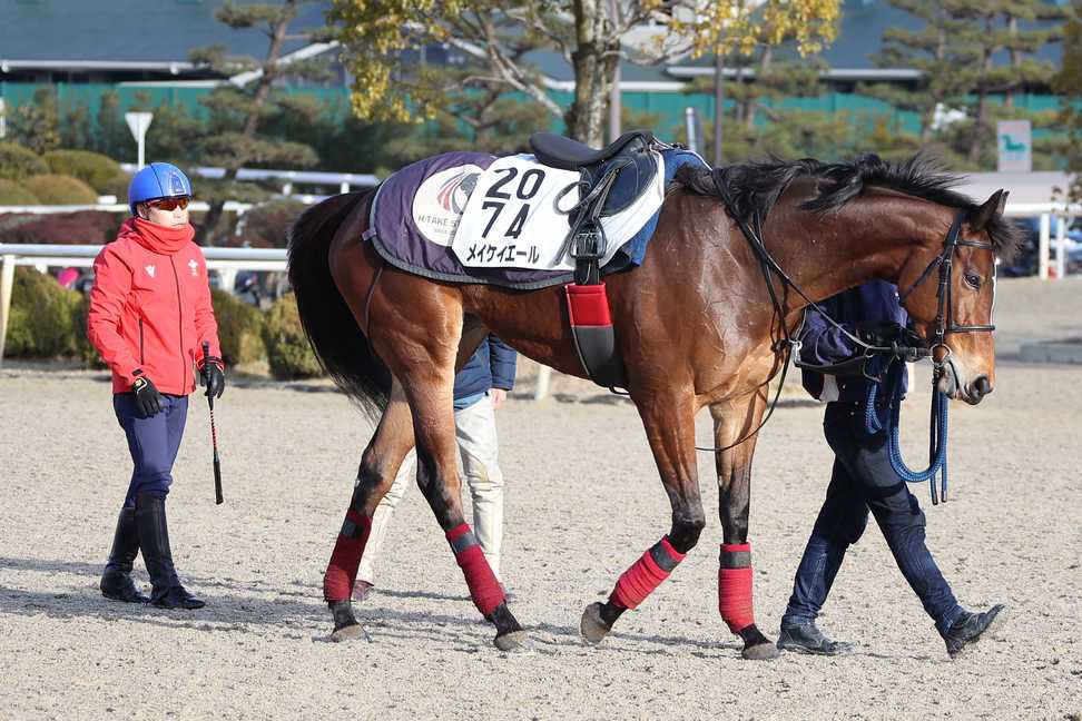 【京都牝馬S2024特集】ナムラクレア「現状、衰えは感じない」 メイケイエール「なんとか復活してほしい」