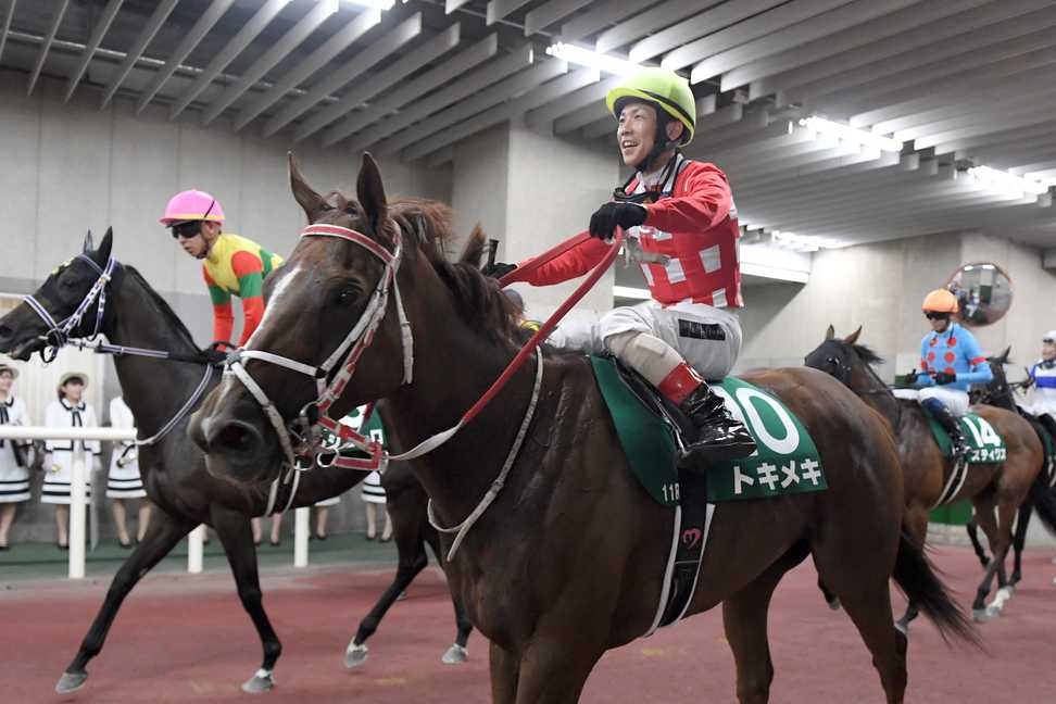 【アイビスＳＤ】トキメキは完璧なレース運びも２着　松岡正海騎手「勝った馬は一枚上でした」