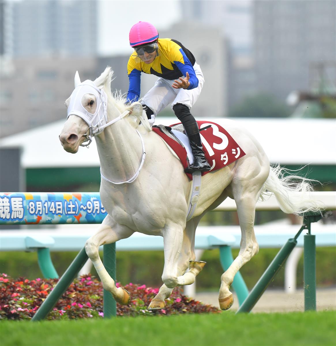 【札幌記念】白毛の桜花賞馬ソダシが３歳牝馬７年ぶりのＶ！