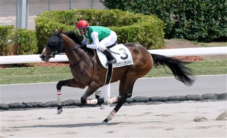 【札幌６Ｒ・新馬】２番人気ショウリノカンパイ２番手から５馬身差Ｖ