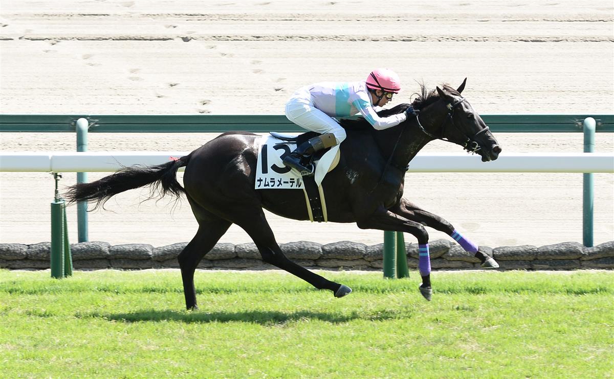 【中京５Ｒ・新馬】ナムラメーテルが３馬身差の完勝