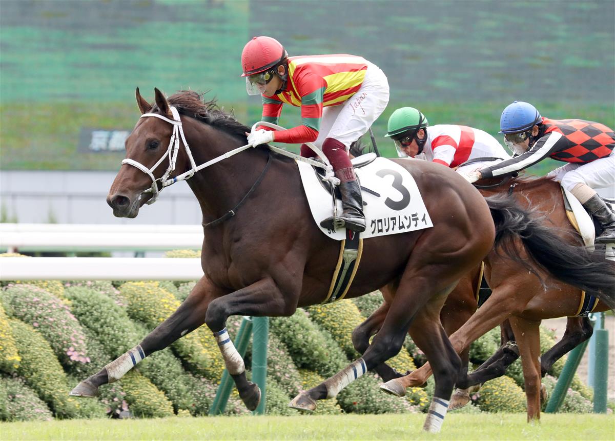 【ラジオNIKKEI杯京都2歳ステークス2020予想】キングカメハメハの後継種牡馬も活躍、パワーと機動力を兼備した馬に注目