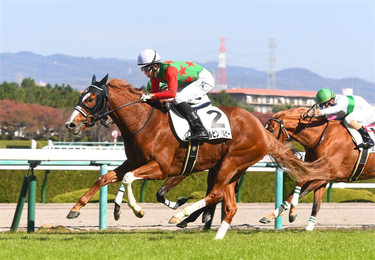 【阪神４Ｒ・新馬】１番人気シゲルピンクルビーが中団から差し切る