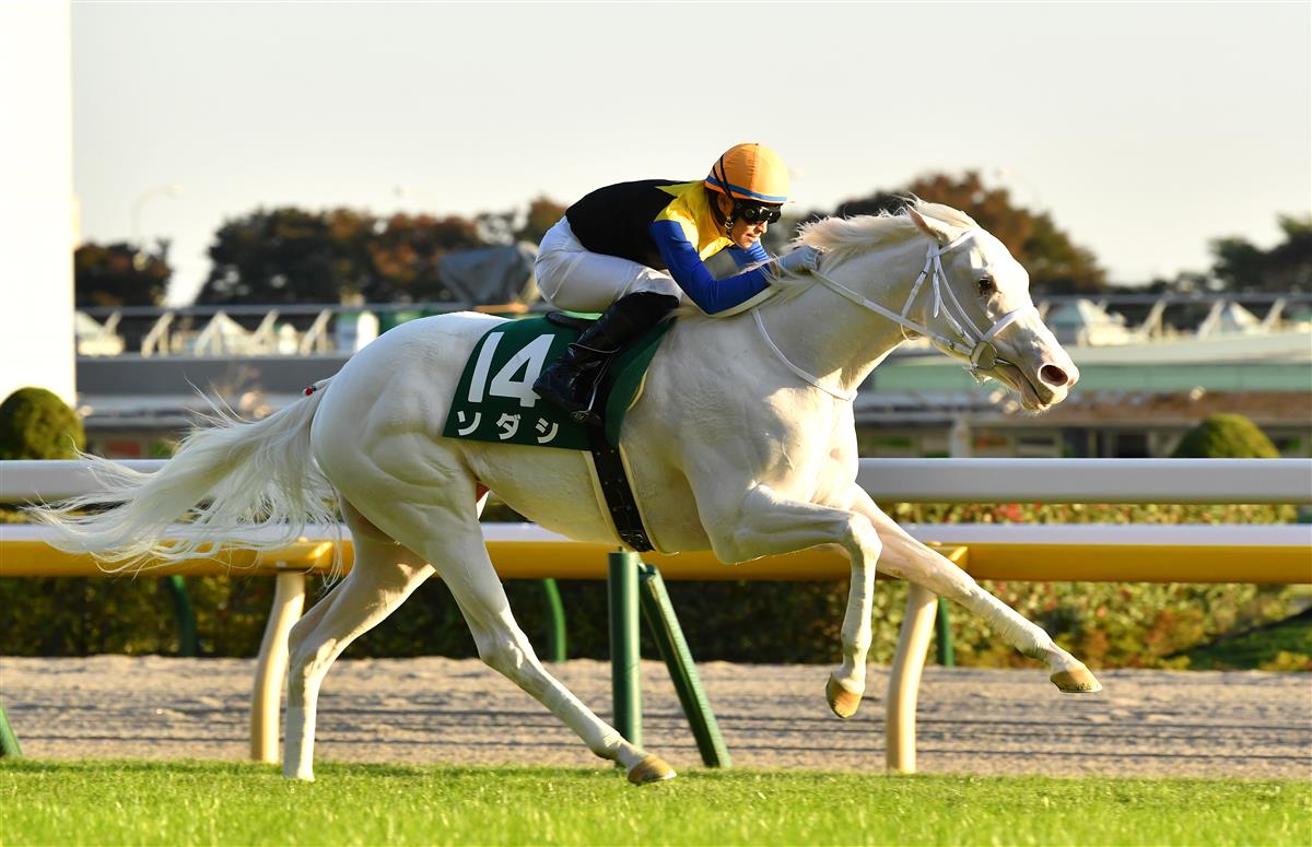 【阪神ＪＦ】史上初の白毛ＧＩ馬誕生なるか？ソダシは３枠６番！　枠順確定