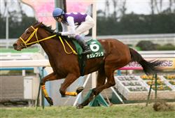 京都牝馬ステークス2009
