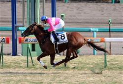 久保田厩舎の素質馬２騎が新馬戦圧勝！