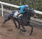 【京都牝馬Ｓ】アスカ１３秒１、酒井デキ太鼓判