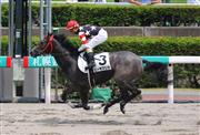 【２歳新馬】札幌６Ｒ　ビーチマリカが５馬身差の完勝