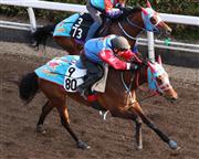 【阪神牝馬Ｓ】ジュール、クビ差先着５１秒０